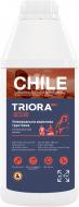 Ґрунтовка адгезійна TRIORA Chile 1 л